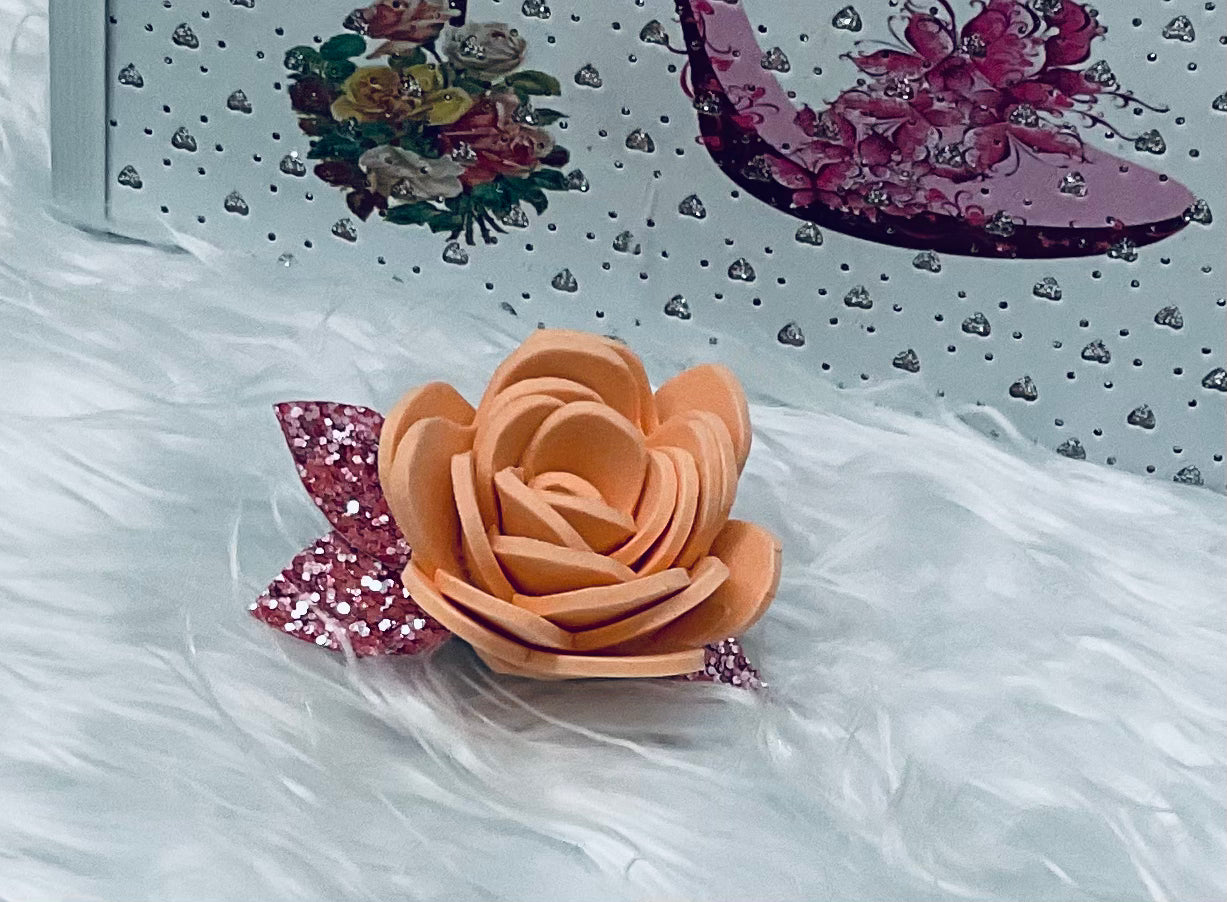 Hair Clips