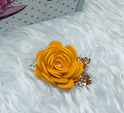 Hair Clips