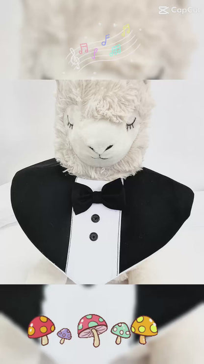 Baby Bibs:Tuxedo Black and White #035